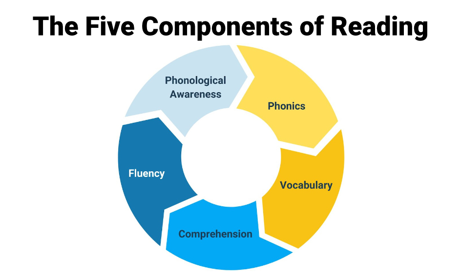 From Phonics to Comprehension: WriteReader’s Alignment with Core Reading Skills